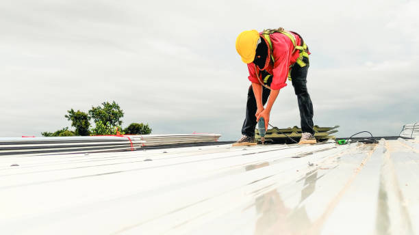 Best Steel Roofing  in Whitewater, WI